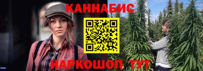 гашик Жуковский