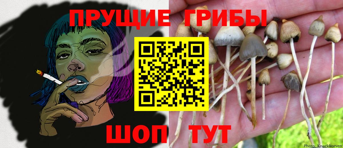 Галлюциногенные грибы Psilocybine cubensis  Вход с VPN  Галлюциногенные грибы Magic Shrooms  Кунгур 
